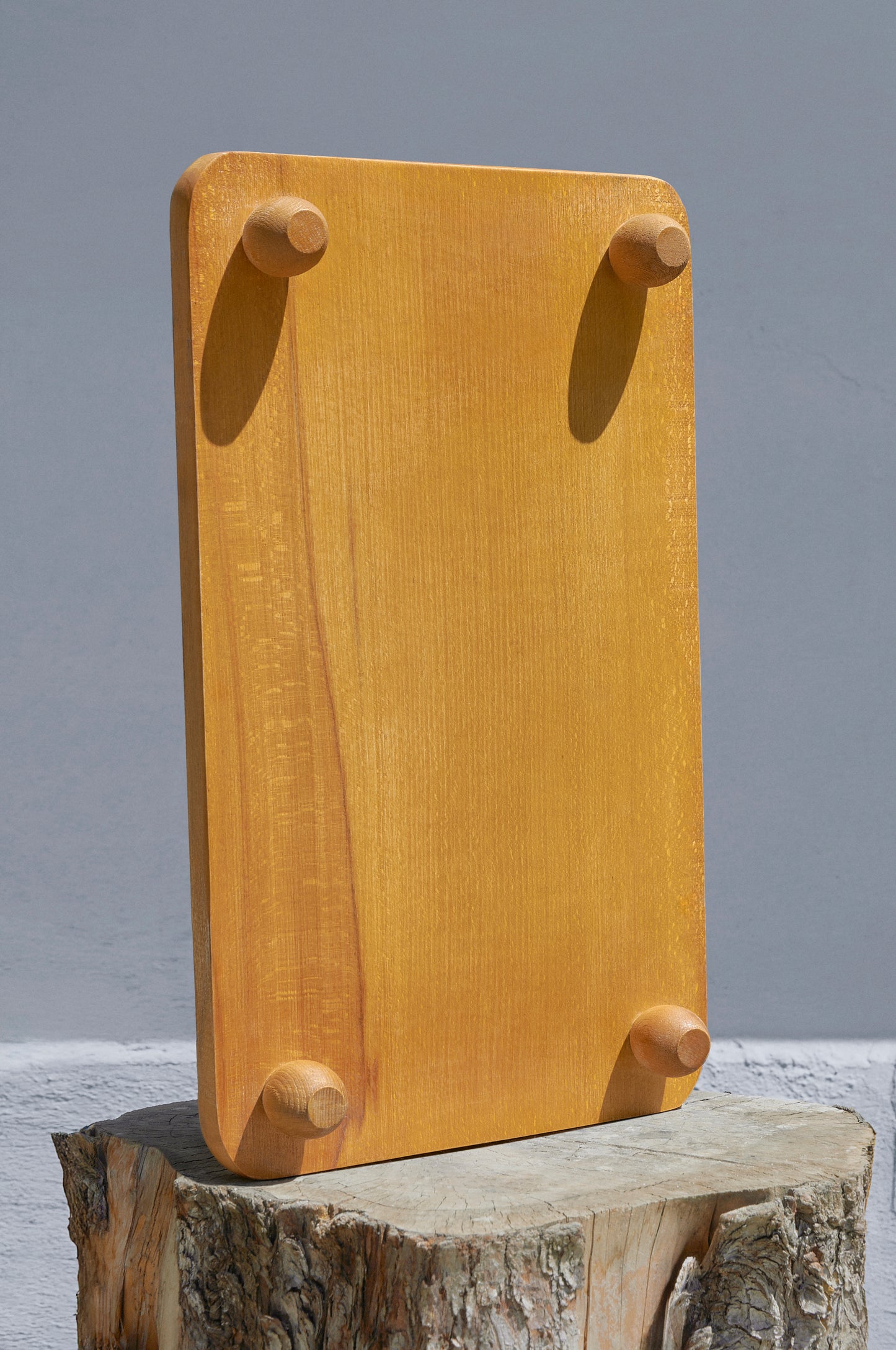 Sunum tepsisi WD-101