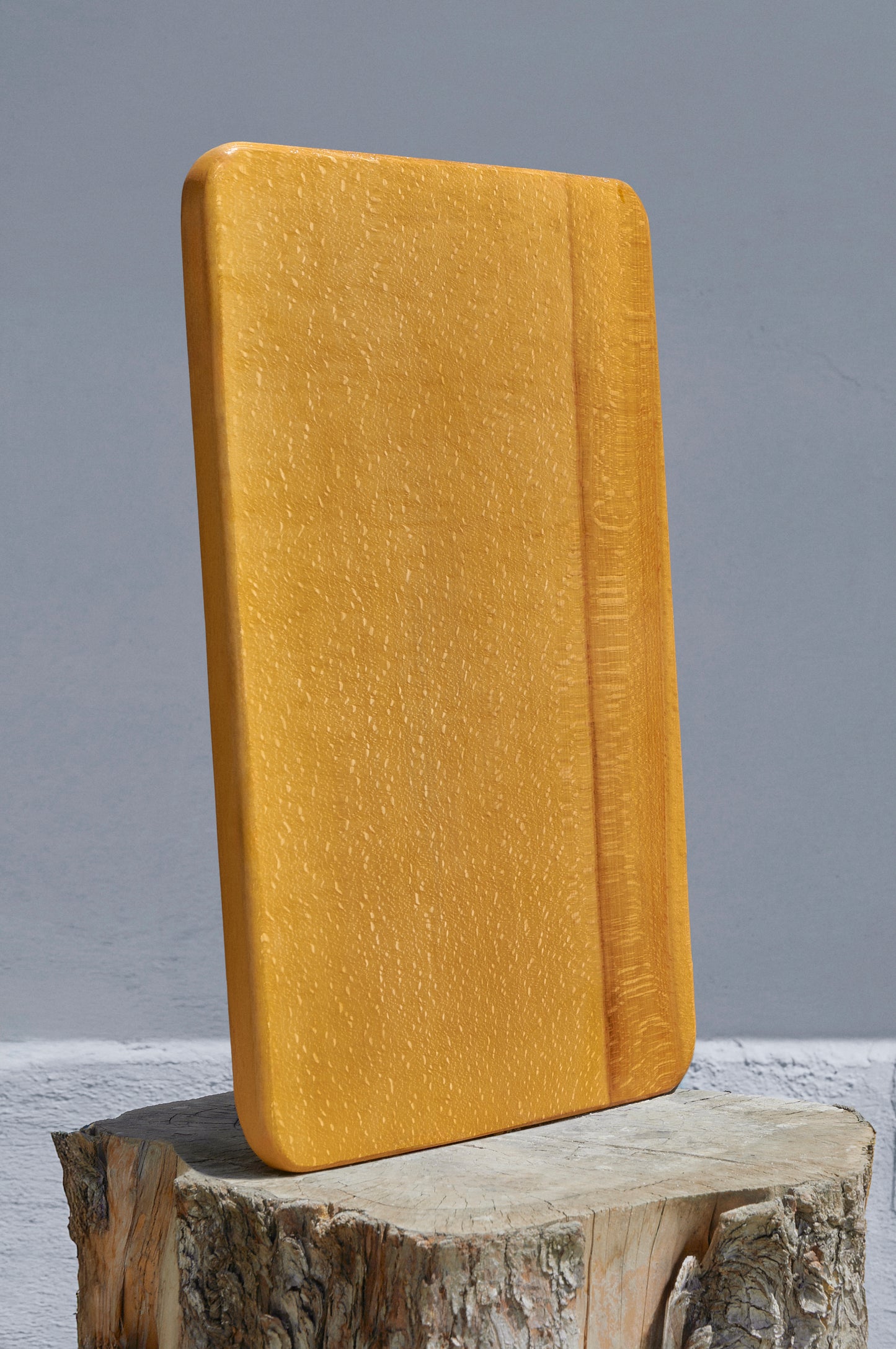 Sunum tepsisi WD-101