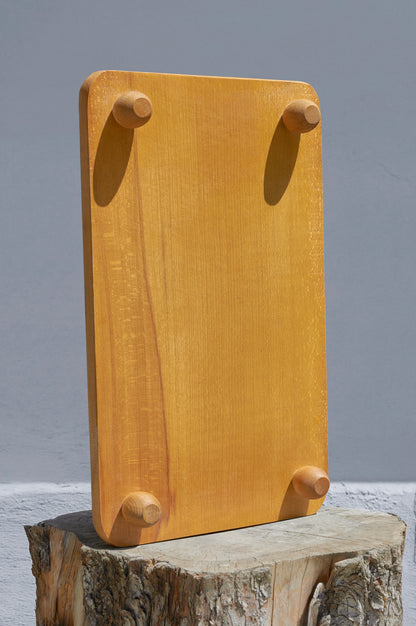 Sunum tepsisi WD-101