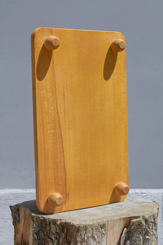 Sunum tepsisi WD-101