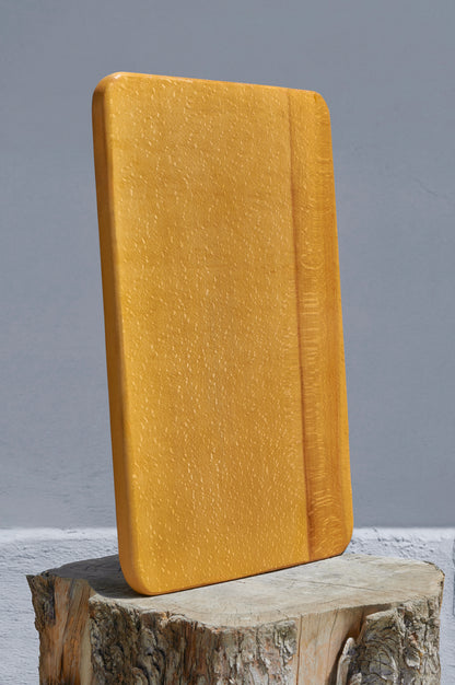 Sunum tepsisi WD-101