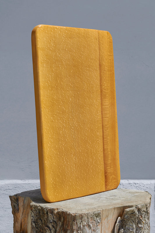 Sunum tepsisi WD-101