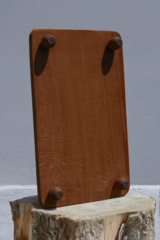Sunum Tepsisi WD-102